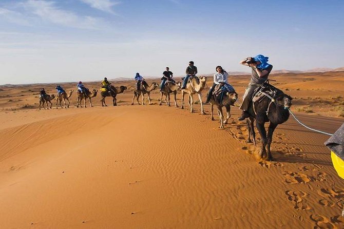 4-Day Sahara Desert Tour to Zagora and Merzouga From Marrakech - Transportation Arrangements