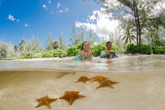 4 Hour Private Boat Charter to Stingray City, Snorkeling and More - Pricing and Discounts