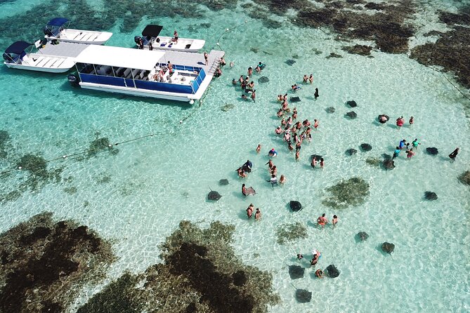 6-Hours Guided Stingray Tour in the East Coast of Antigua - Confirmation and Cancellation Policy