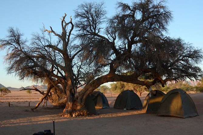 7 Day Southern Namibia and Sossusvlei Camping Safari - Dune 45 and Walvis Bay