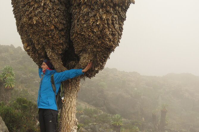 7 Days Machame Route Kilimanjaro Climb Group Joining - Health and Safety Considerations