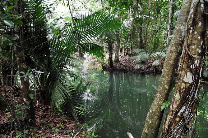 7 Hour- Private Nature Tour of the Monte Plata Rainforest - Activities and Experiences