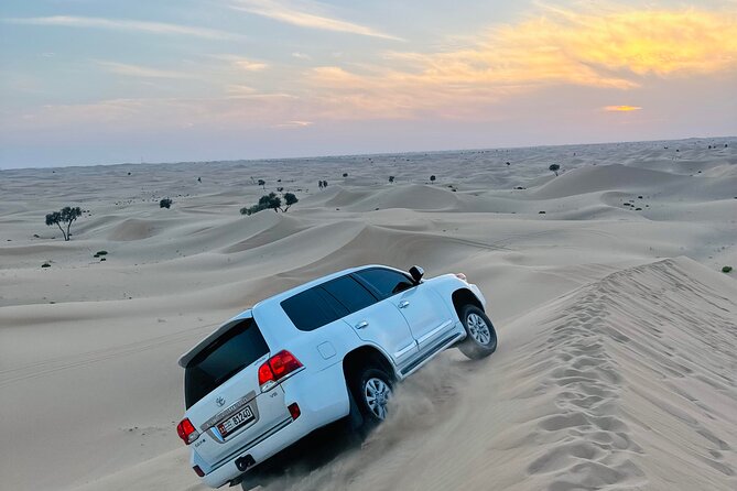 Abu Dhabi: Evening Desert Safari With Camel Ride, BBQ & Live Show - Requirements and Limitations