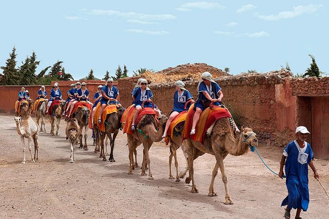 Activities in Marrakech Camel Ride Tour in Palm Grove - Camel Guide and Instruction