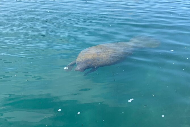 Afternoon Kayak and Paddleboard Tours in Condado Lagoon - Health and Safety