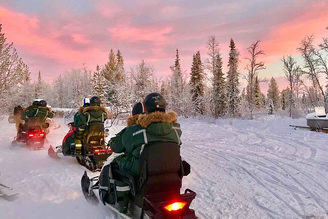 Afternoon Snowmobile Tour - Pricing and Availability