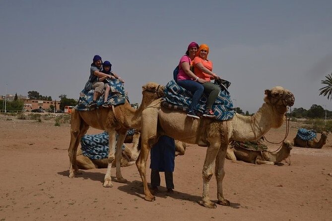 Agadir Camel Ride Experience - Scenic Highlights and Activities