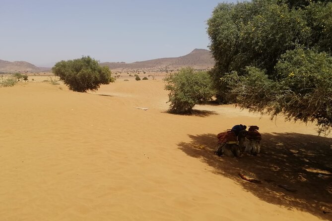 Agadir Desert Tour 4x4 With Lunch - Booking Information