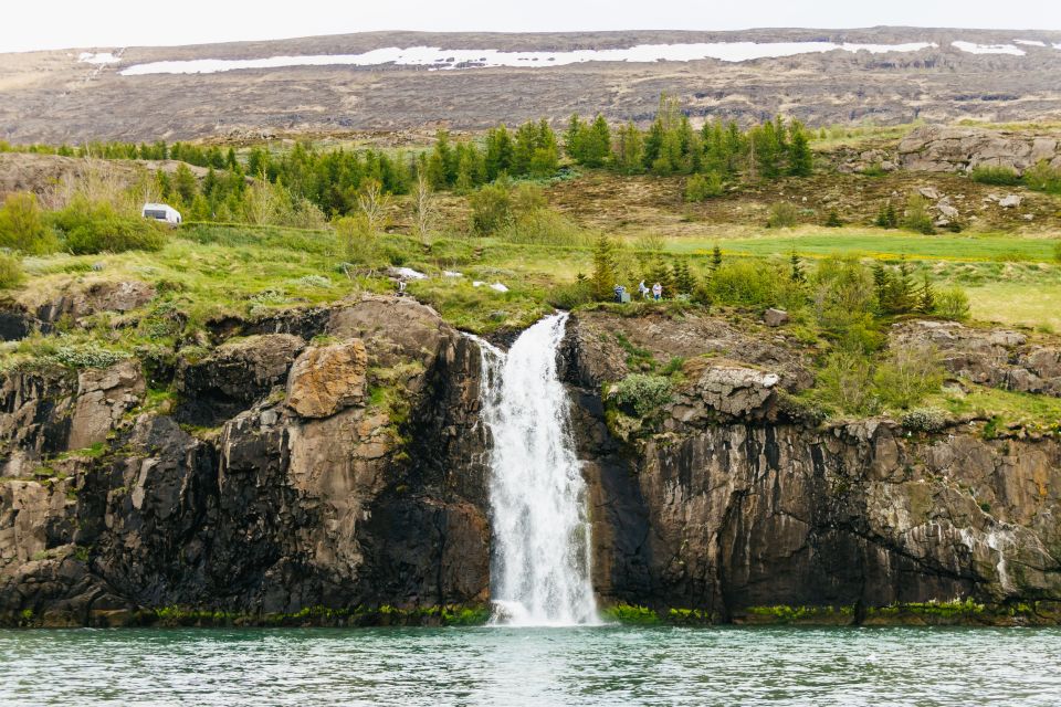 Akureyri: 3-Hour Classic Whale Watching Tour - Tour Details