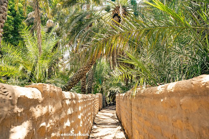 Al Ain Full Day Trip From Abu Dhabi With Lunch - Stroll Through Palm Groves