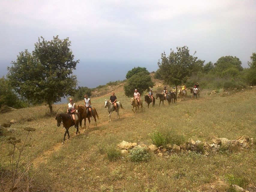 Alanya: Horse Riding Adventure - Swim in the Local Pool