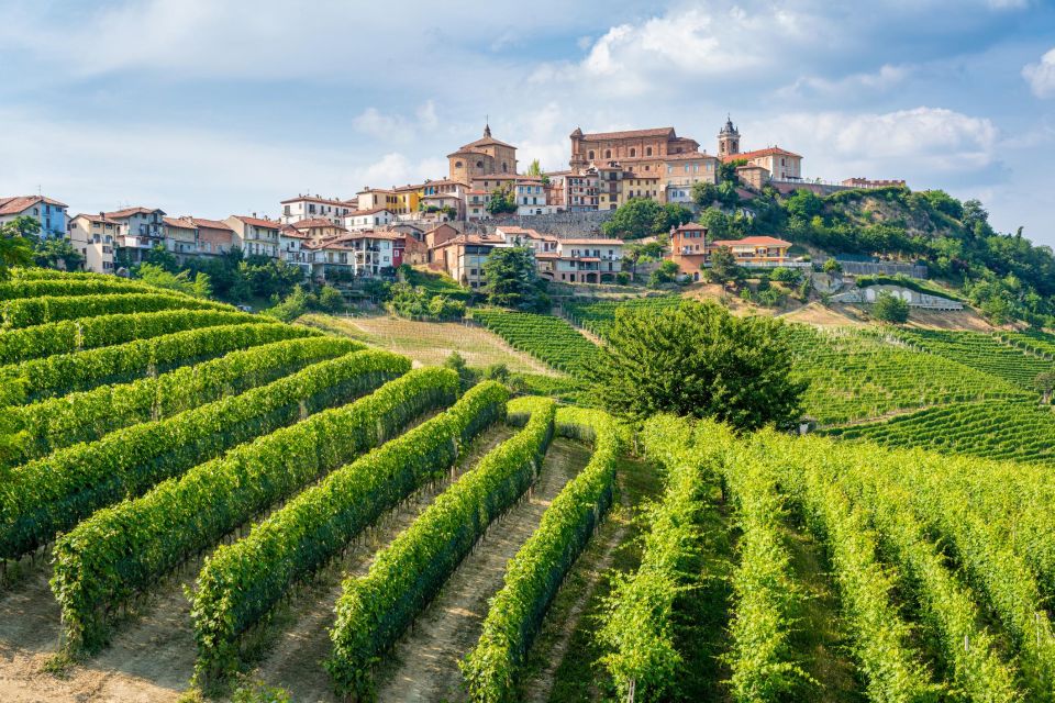 Alba: Barolo Castle, Alfieri Vineyards, and Truffle Lunch - Savoring Gourmet Lunch in Alba