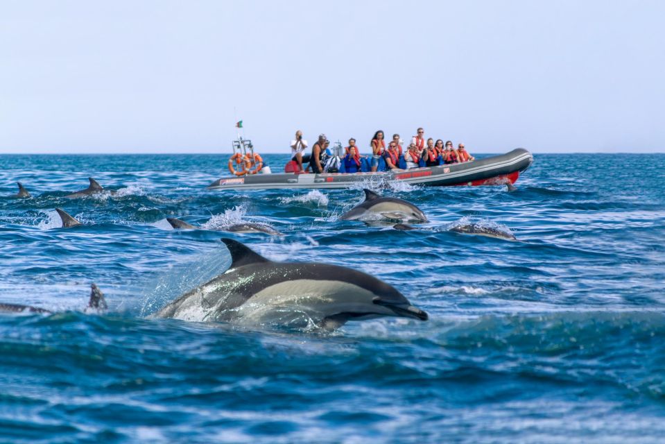 Albufeira: 2.5-Hour Private Dolphin & Benagil Caves Tour - Benagil Caves Exploration