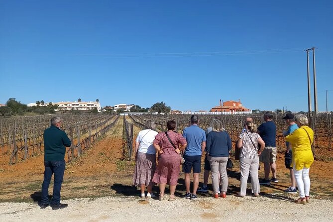 Albufeira Tour: Winery Wine and Tapas Boards - Confirmation and Cancellation Policy