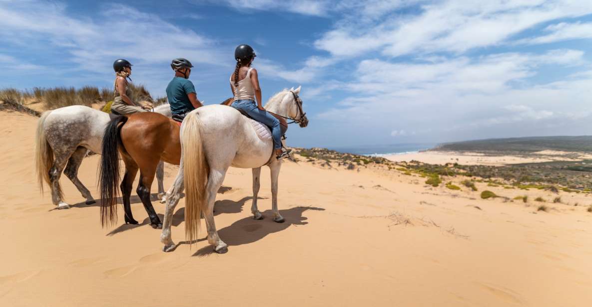 Algarve: 1-Hour Carrapateira Horseback Riding Tour - Pricing and Availability