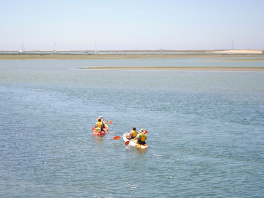 Algarve: 2-Hour Ria Formosa Kayak Tour From Faro - Language Options