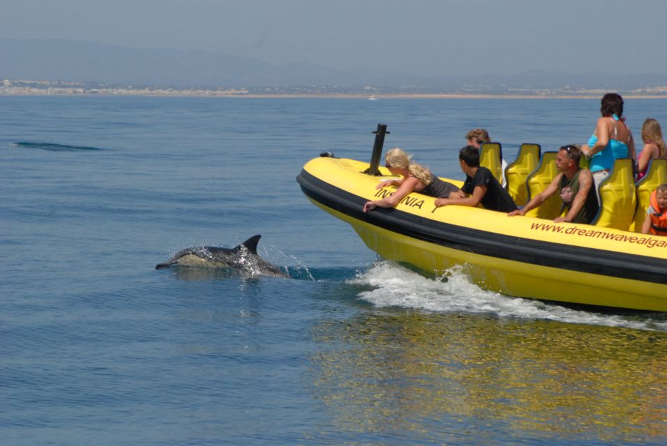 Algarve Coast: Dolphin Watching & Cave Tour - Inclusions and Discounts