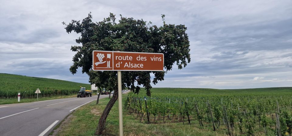 Alsace: the Legendary Wine Road Tour With Tasting and Lunch - Guided Tour in Eguisheim