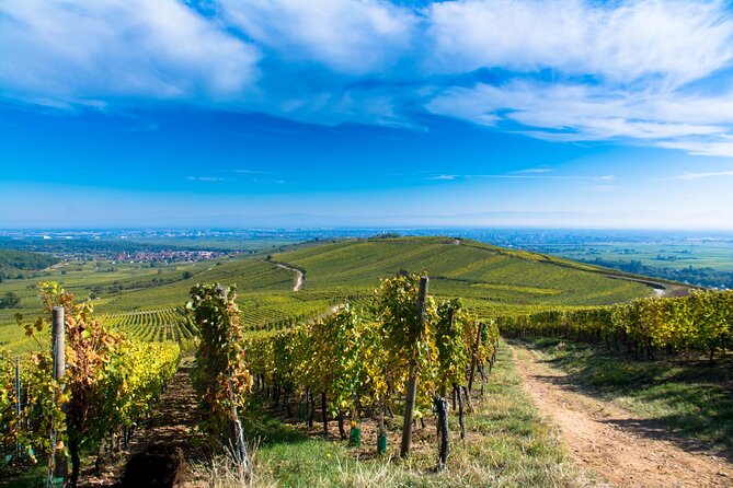 Alsace Wine Route Wineries & Tasting Small Group Guided Tour From Strasbourg - Exploring Picturesque Villages