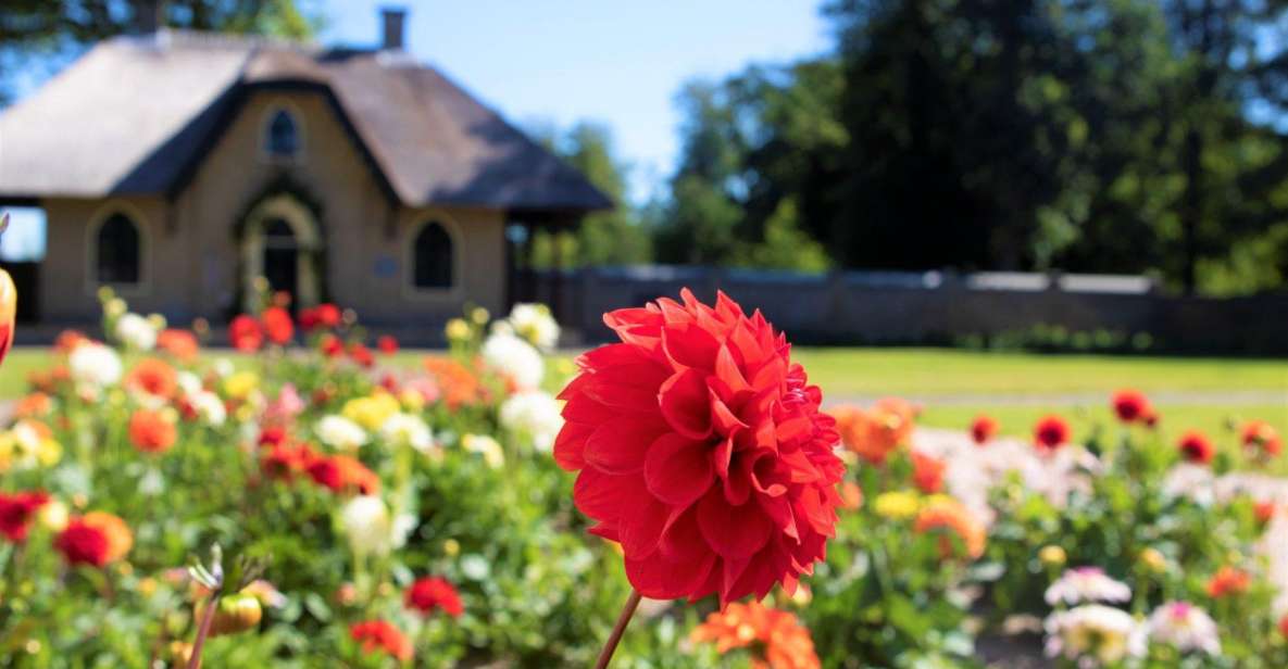 Amsterdam: Day Trip Keukenhof Summerflowers and Flowerfarm - Flower Garden Exploration