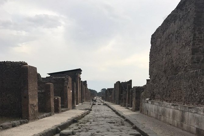 Ancient Pompei in the Afternoon - Tour Details and Inclusions