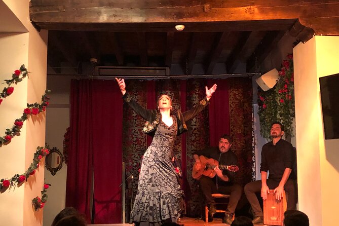 Andalusian Flamenco Tablao Ticket - Accessibility and Participation