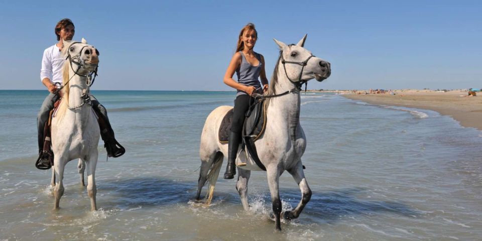 Antalya: Forest & Beach Horse Riding Safari - Taking in Natures Tranquility