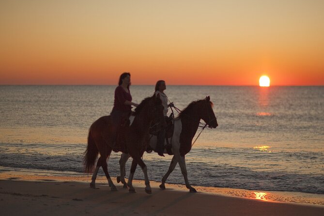 Antalya Horse Riding On Beach And Through The Forests For 2 Hours - Reviews and Ratings