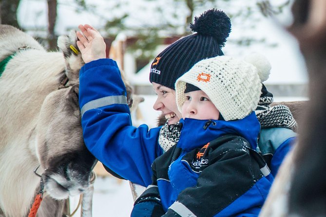 Arctic Delight - Visit to Santas Village and Snowmobiling to Reindeer Farm - Reindeer Farm and Sleigh Ride