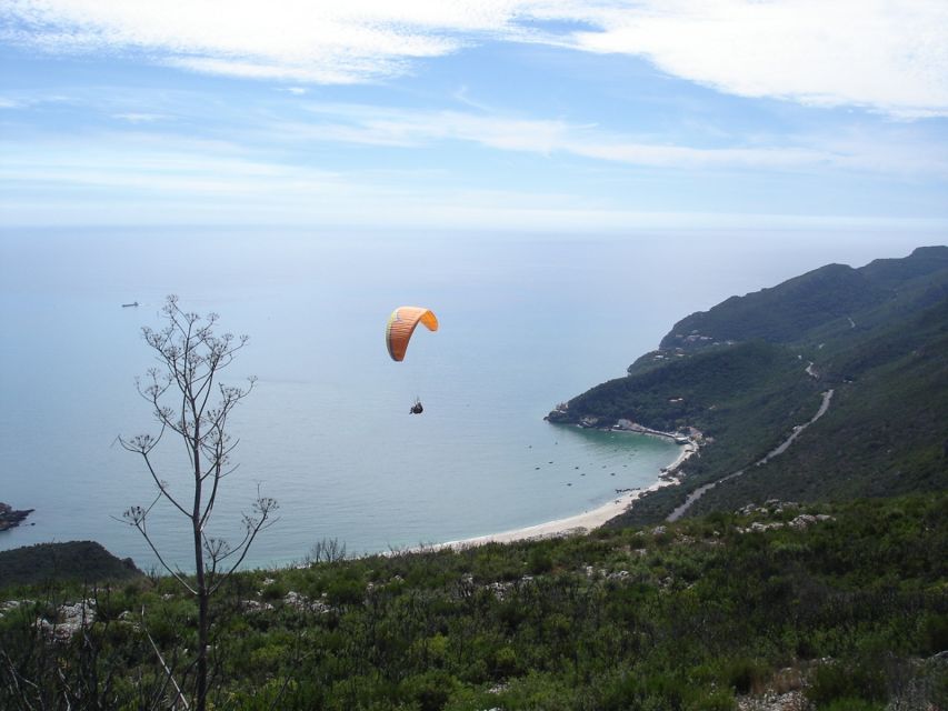 Arrábida and Sintra: Full-Day Private Wine Tour - Inclusions in the Tour