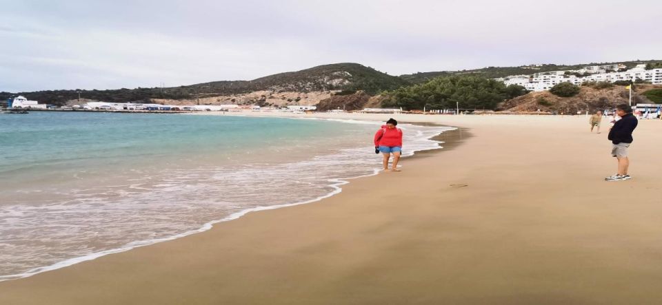 Arrábida Natural Park, Palmela Castle, Tiles and Wine Tour - Palmela Castle: Guided Exploration