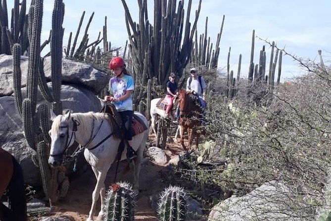 Aruba Countryside: Horseback Adventure to Urirama Cove - Cancellation Policy