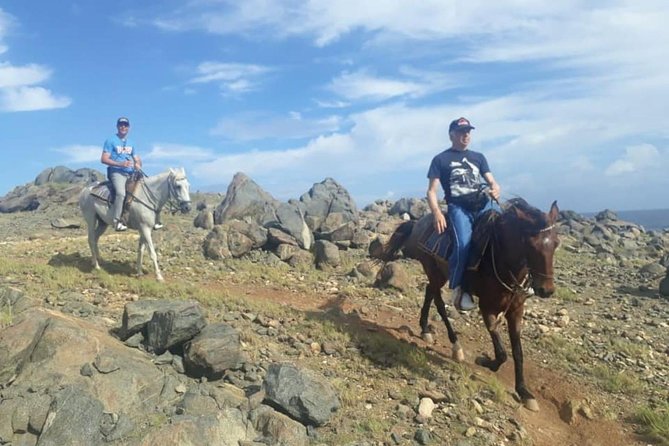 Aruba Private, 2 Hour Horseback Riding Tour For Advanced Riders - Cancellation Policy