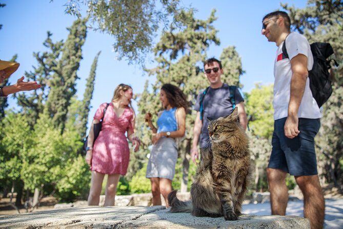 Athens Acropolis and Parthenon Walking Tour - Important Information