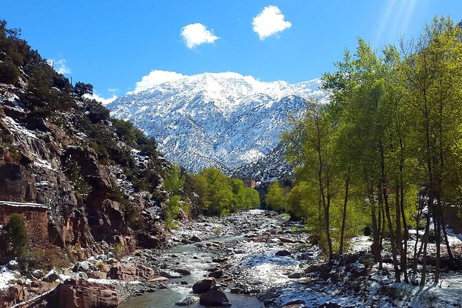 Atlas Mountains & Berber Villages With Camel Ride Included - Berber House Visit