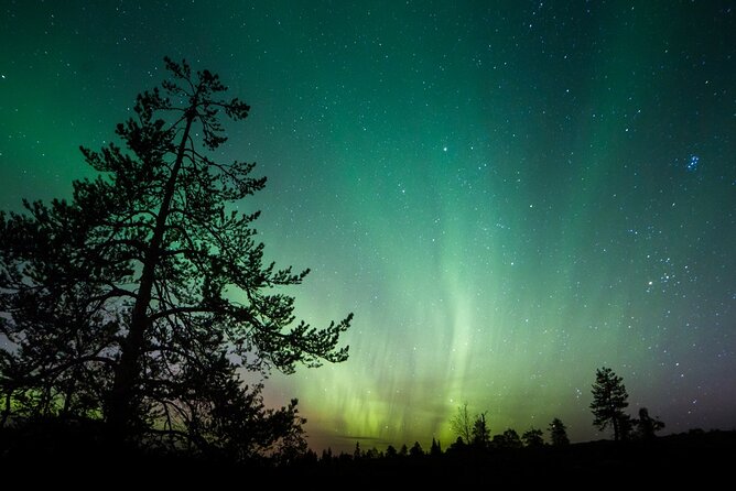 Aurora Borealis Quest: Private Yukon Nighttime Tour - Flexible Pickup Arrangements