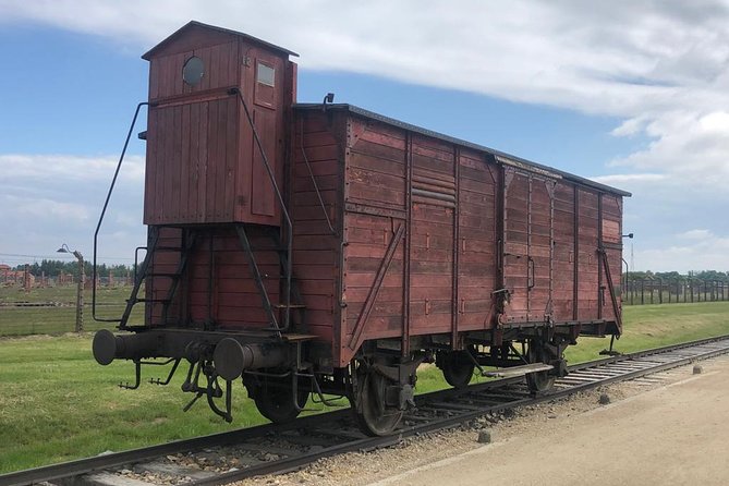 Auschwitz-Birkenau and Wieliczka Salt Mine Museum Guided Tour From Krakow - Entrance Tickets and Headphones