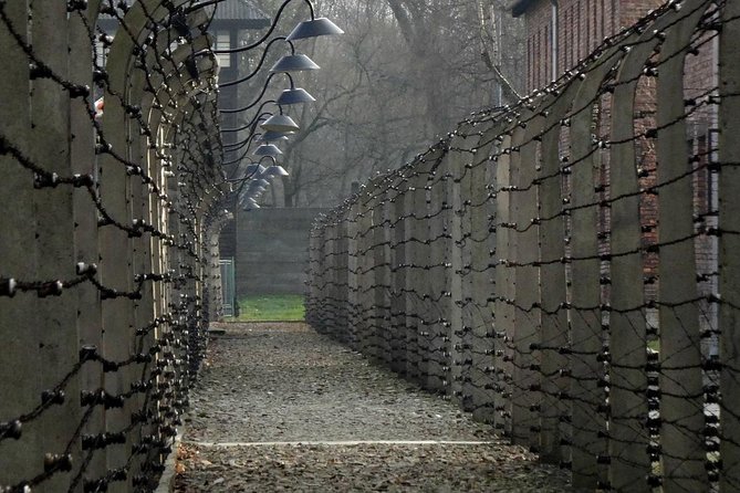 Auschwitz Private Tour - Pricing and Availability