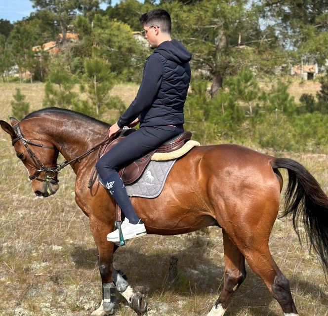 Aveiro: Horse Riding Experience With Instructor - Experience Highlights