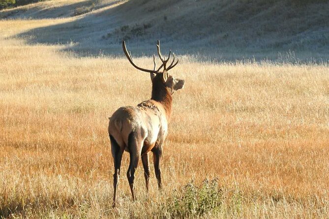 Banff Deep 1 Day Tour in Banff National Park - Cancellation Policy