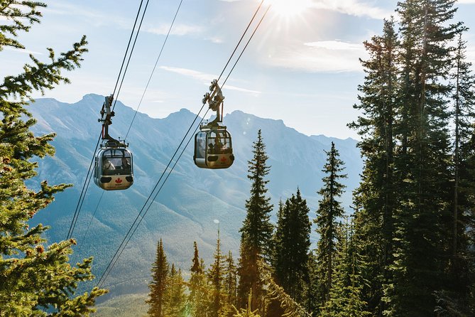 Banff Gondola Ride Admission - Comfortable Gondola Cabins