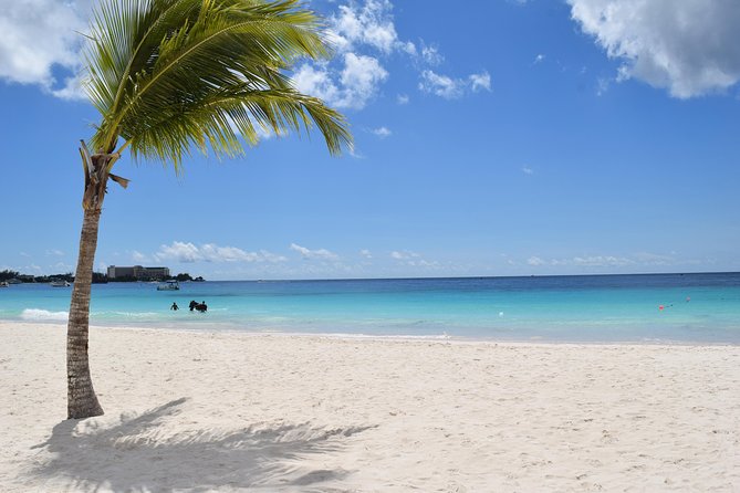 Beach Day in Barbados With Shuttle Transfers - Pickup Details for Hotel and Cruise Ship Guests