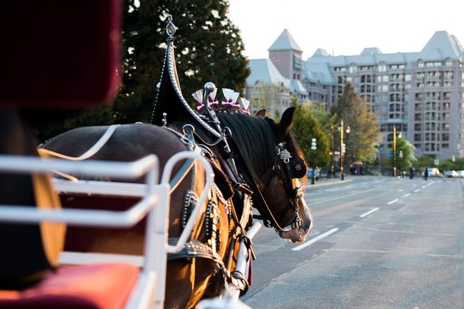 Beacon Hill Park Horse-Drawn Carriage Experience in Victoria - Meeting and Pickup