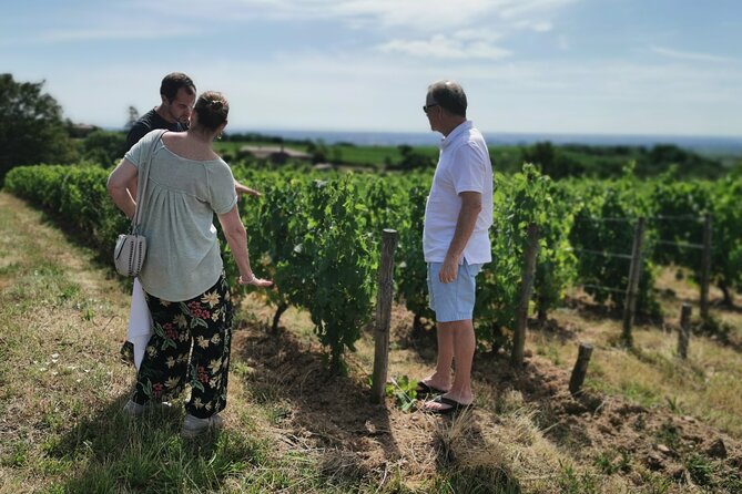 Beaujolais Wine Tasting Day Tour From Lyon - Discovering Cellar Secrets