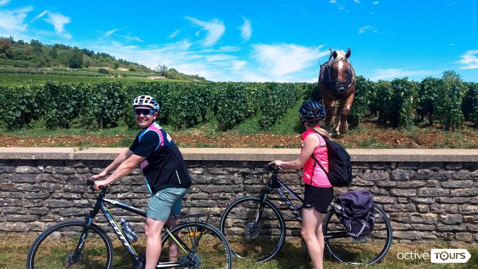 Beaune: Winery Tour by Bike With Wine Tasting - Exploring Iconic Climats