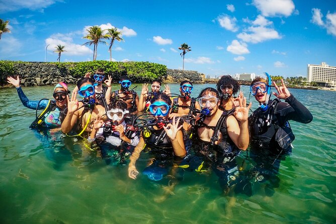 Beginner SCUBA Diving in Old San Juan - Scuba Diving Activity Details