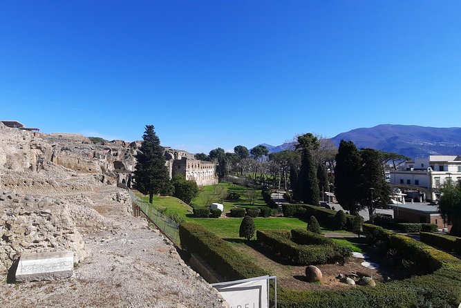 Best of Pompeii - 2 Hour Private Tour With Alex - Exploration of Body Castes