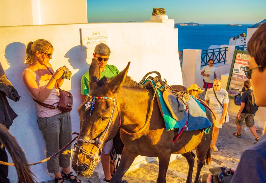 Best of Santorini Full Day Private Trip From Mykonos - Highlights of Santorini