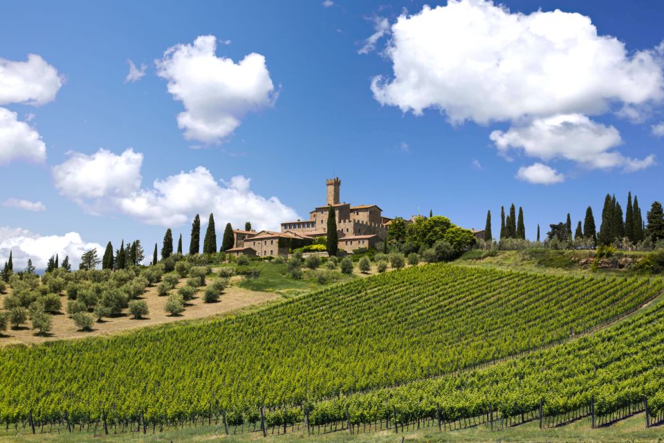 Best of Tuscany: Full Day Private Tour of the Val D'orcia - Taking in Montalcinos Winemaking Heritage