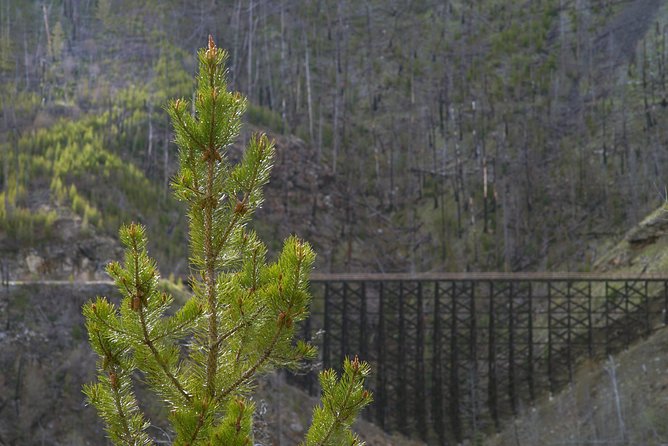 Bicyle Tour on Historical Kettle Valley Railway From Myra Canyon to Penticton - Stunning Sights of British Columbia